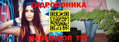 не бодяженный Будённовск